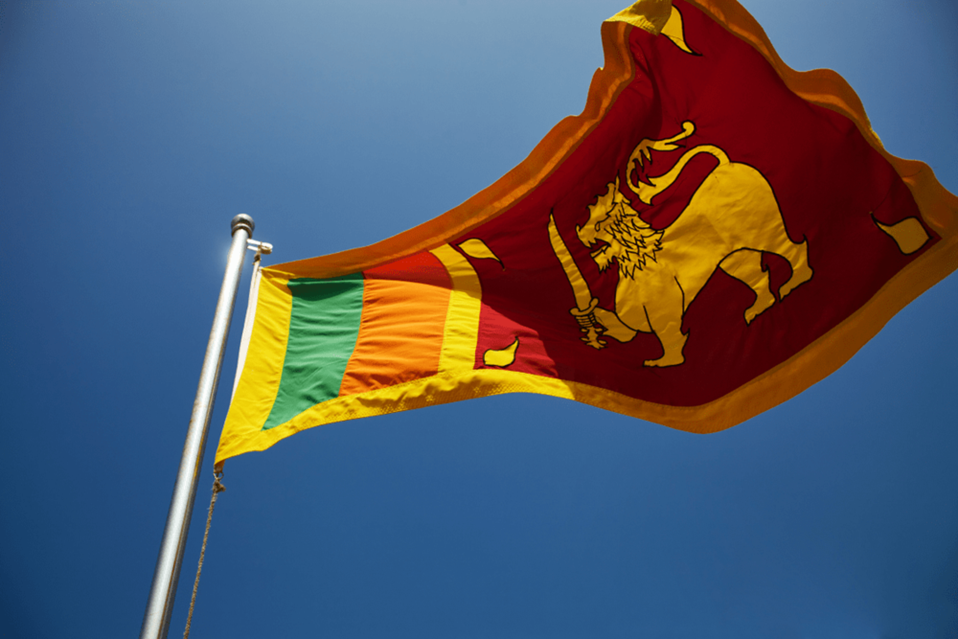 Mobiles Qhd - Emblem Of Sri Lanka , HD Wallpaper & Backgrounds