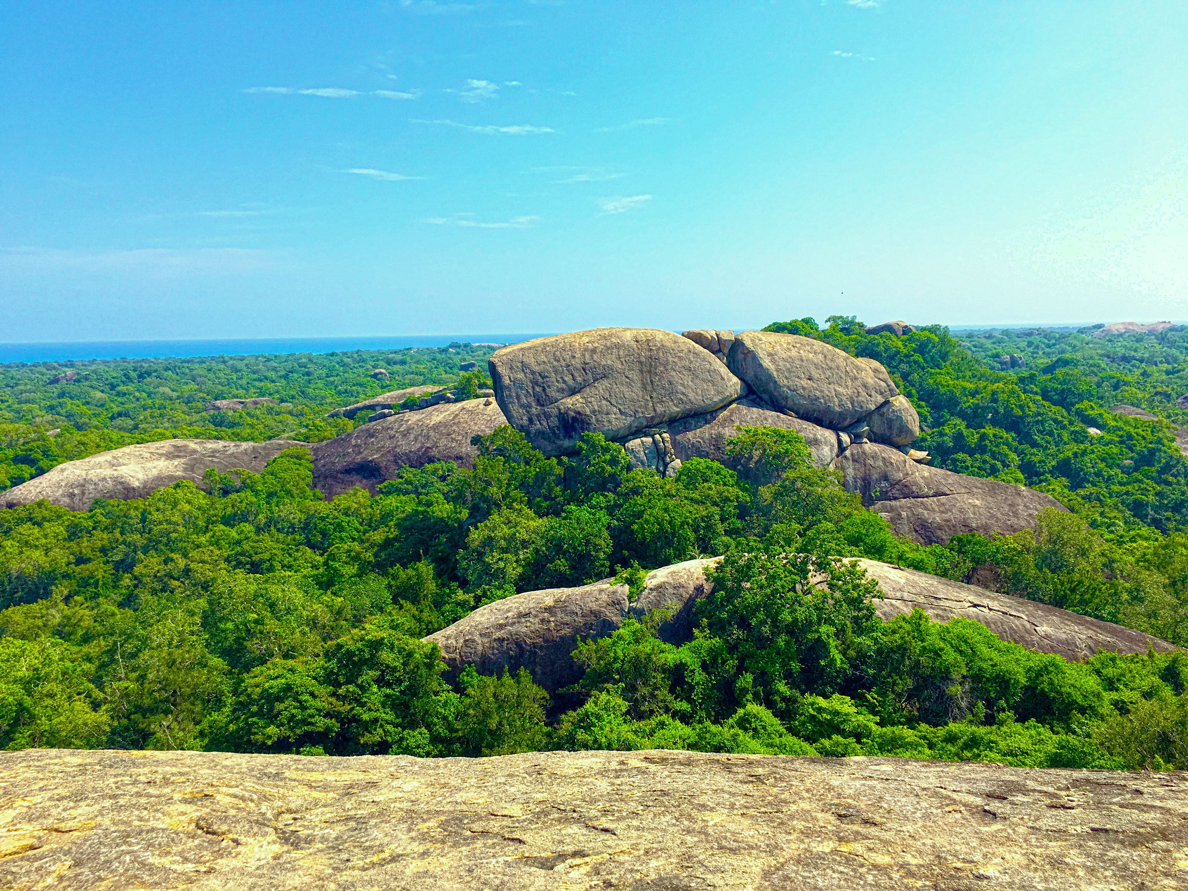 Brown Rocks And Green Leaf Trees, Sri Lanka, Nature, - Outcrop , HD Wallpaper & Backgrounds