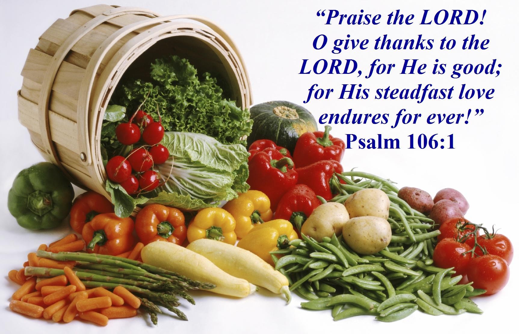 Red Thanksgiving Vegetables Basket Green Lord Praise - Value Of Food , HD Wallpaper & Backgrounds