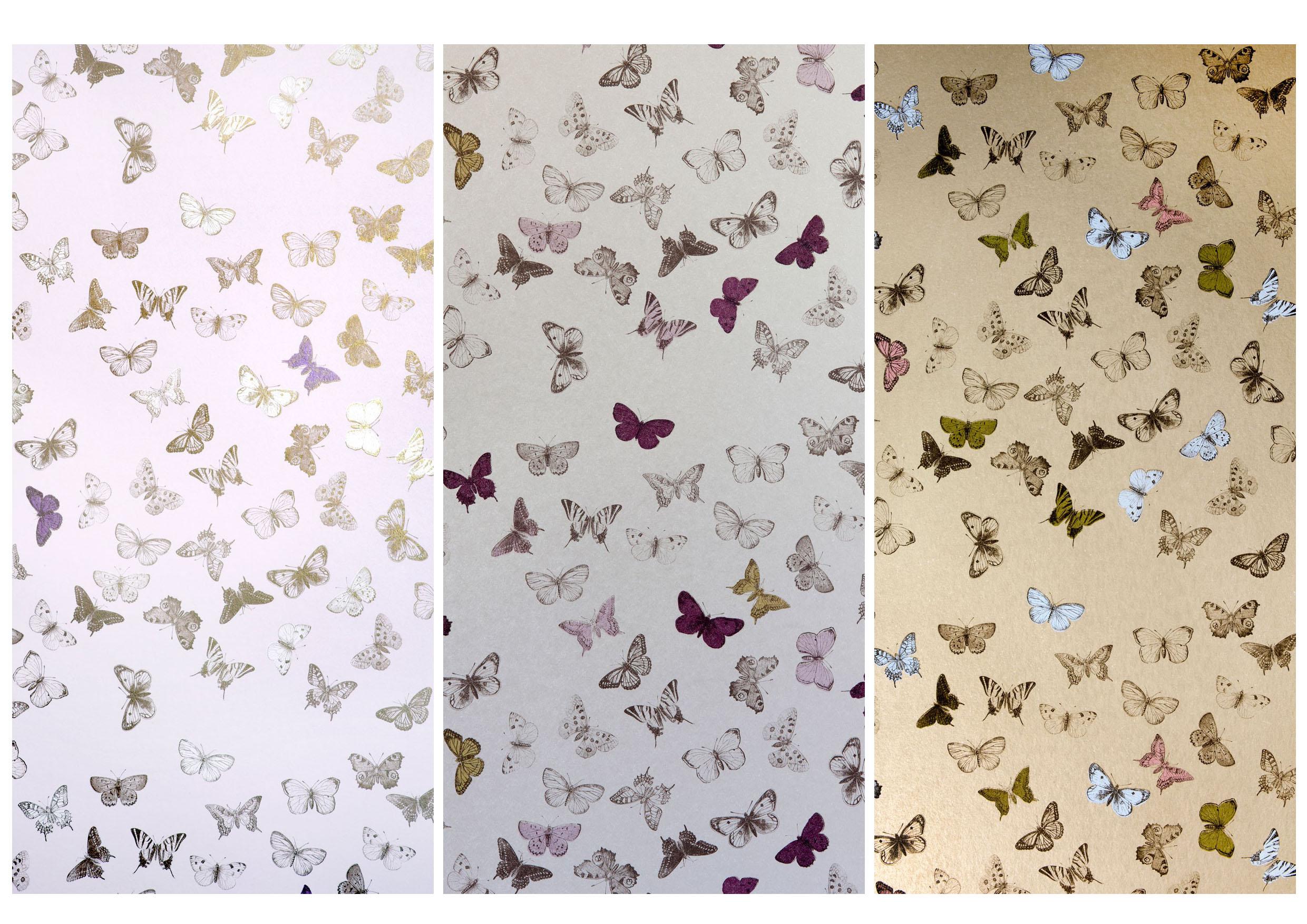 Schumacher Birds And Butterflies Wallpaper - Mimou Butterfly , HD Wallpaper & Backgrounds