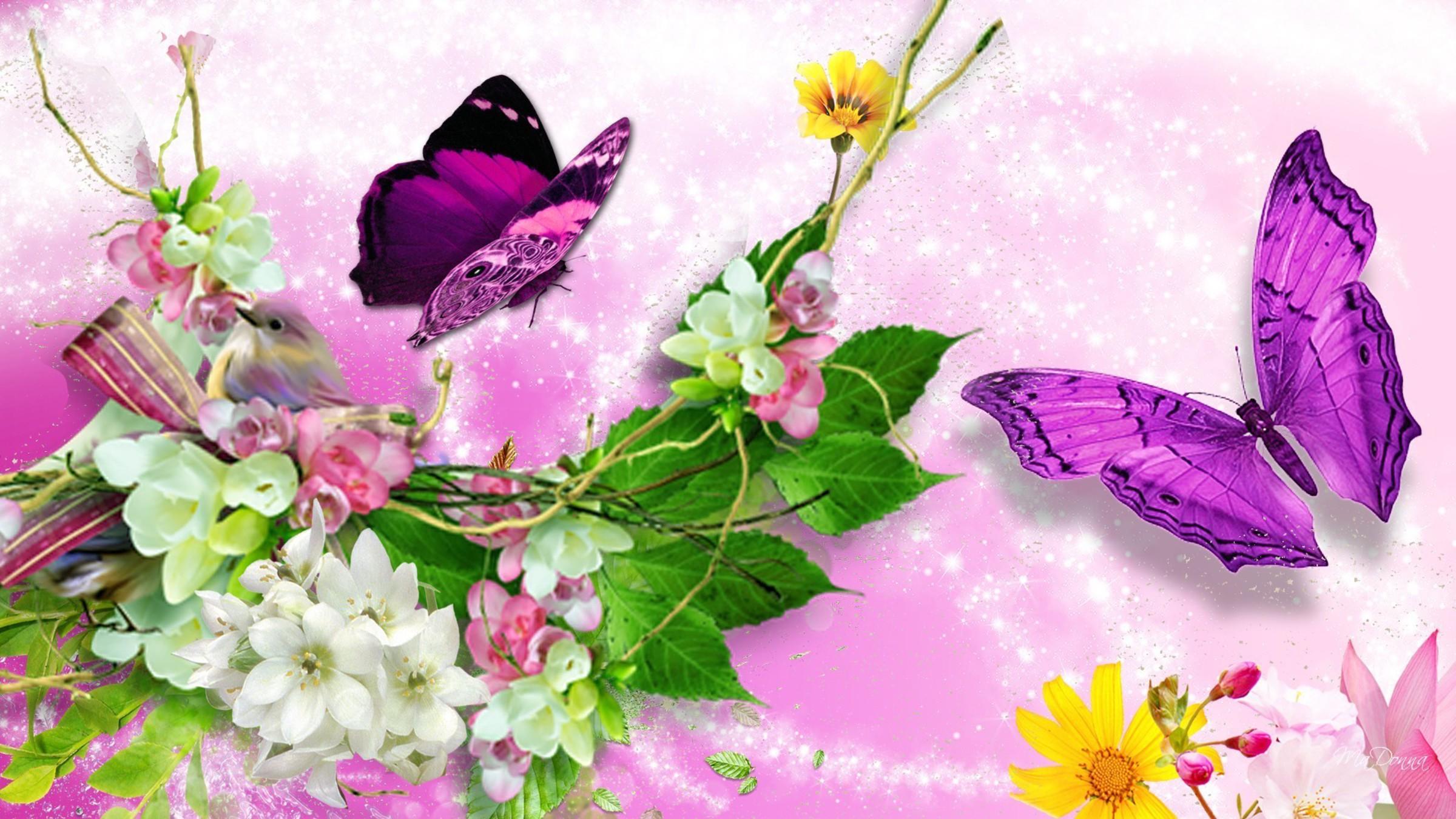 Bird - اجمل الفراشات على الورود , HD Wallpaper & Backgrounds