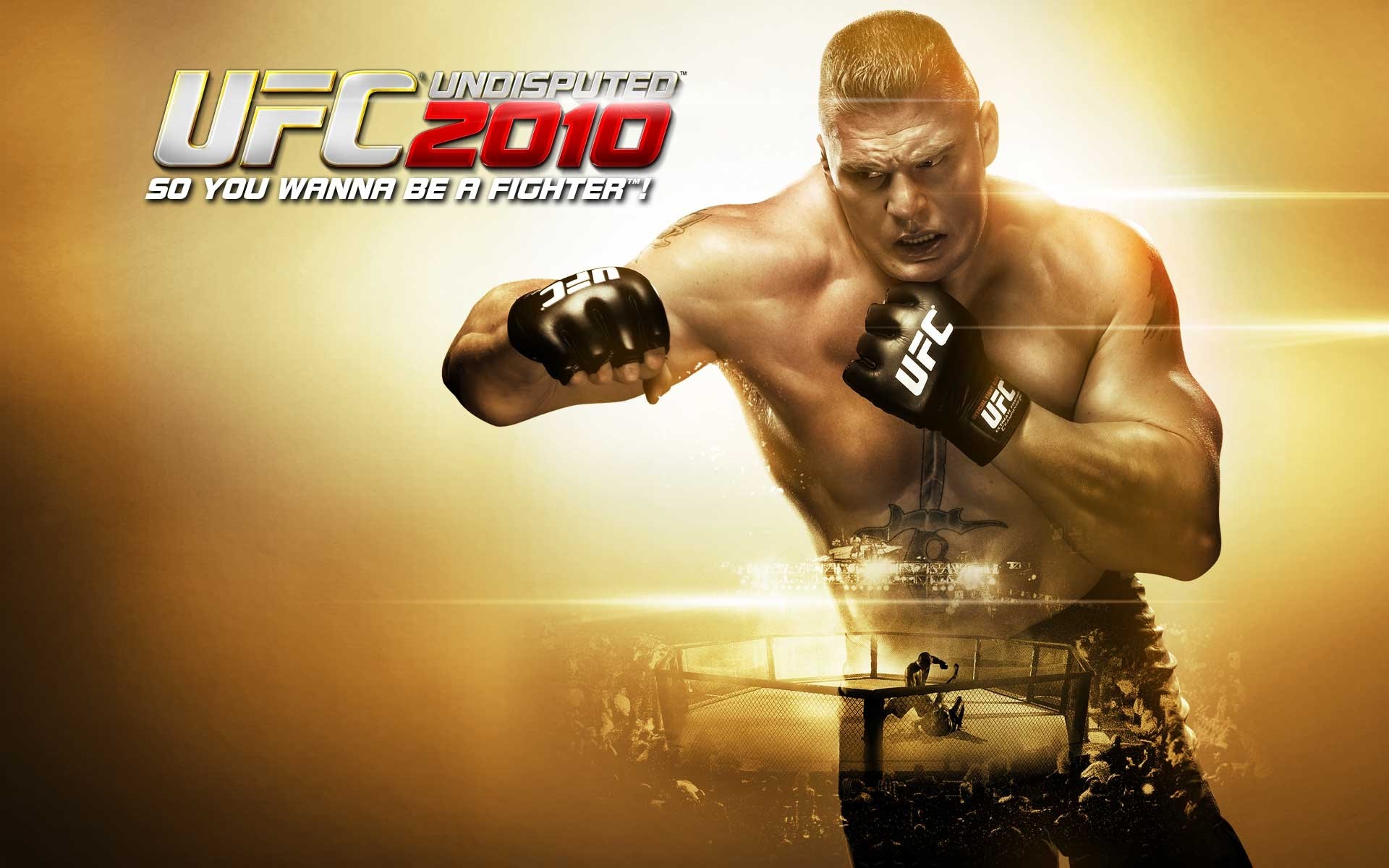 Ufc Undisputed 2010 Game Wallpaper - Ufc 2010 Undisputed Ps3 , HD Wallpaper & Backgrounds