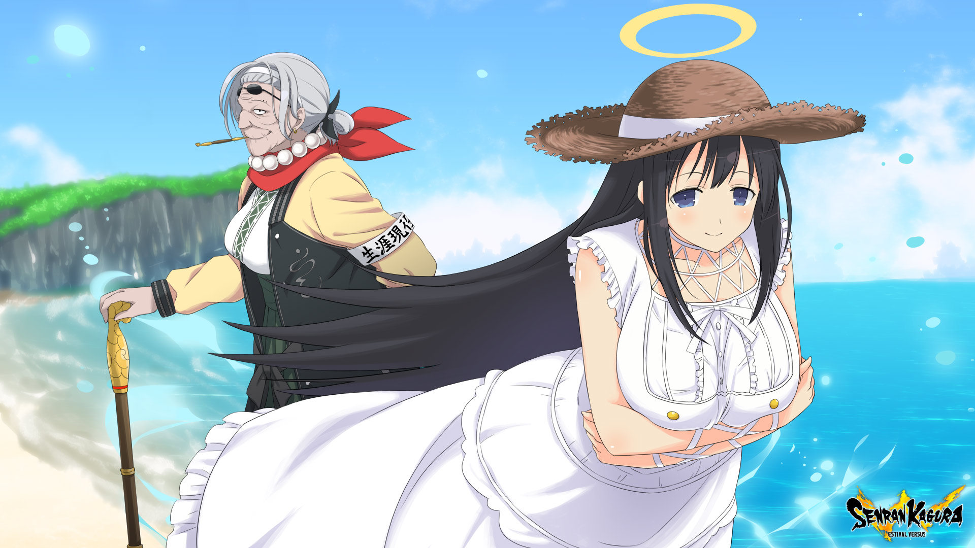 Wallpaper From Senran Kagura - Senran Kagura Estival Versus Ryoki , HD Wallpaper & Backgrounds