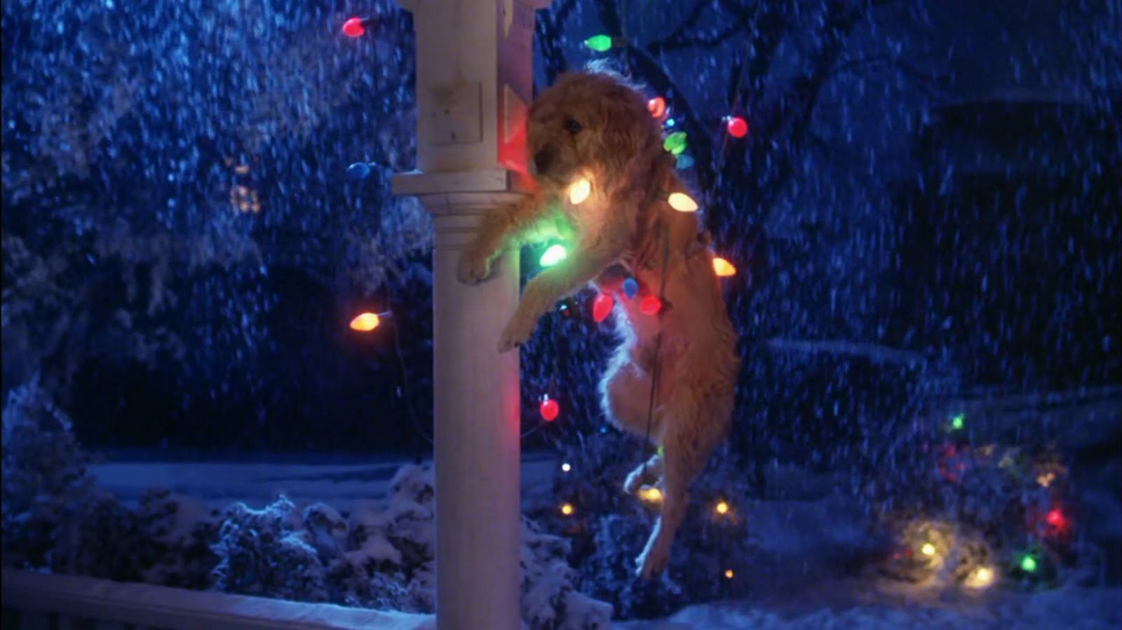 Gremlins Movie Dog Christmas Lights The Wolfman Cometh - Gremlins Scenes , HD Wallpaper & Backgrounds