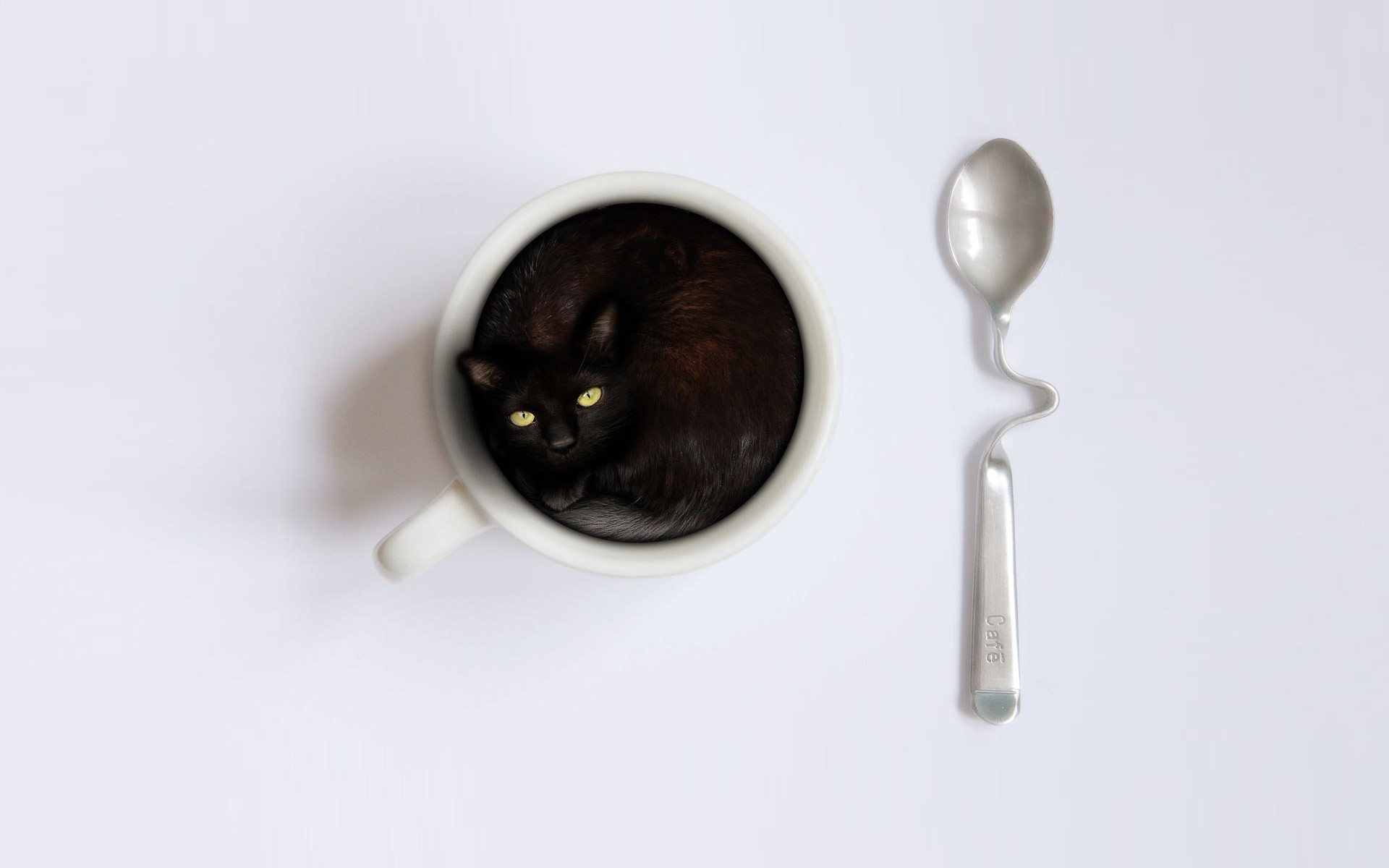 Animals Cats Coffee Cups Simple Background Spoons Wallpaper - Coffee Cup , HD Wallpaper & Backgrounds
