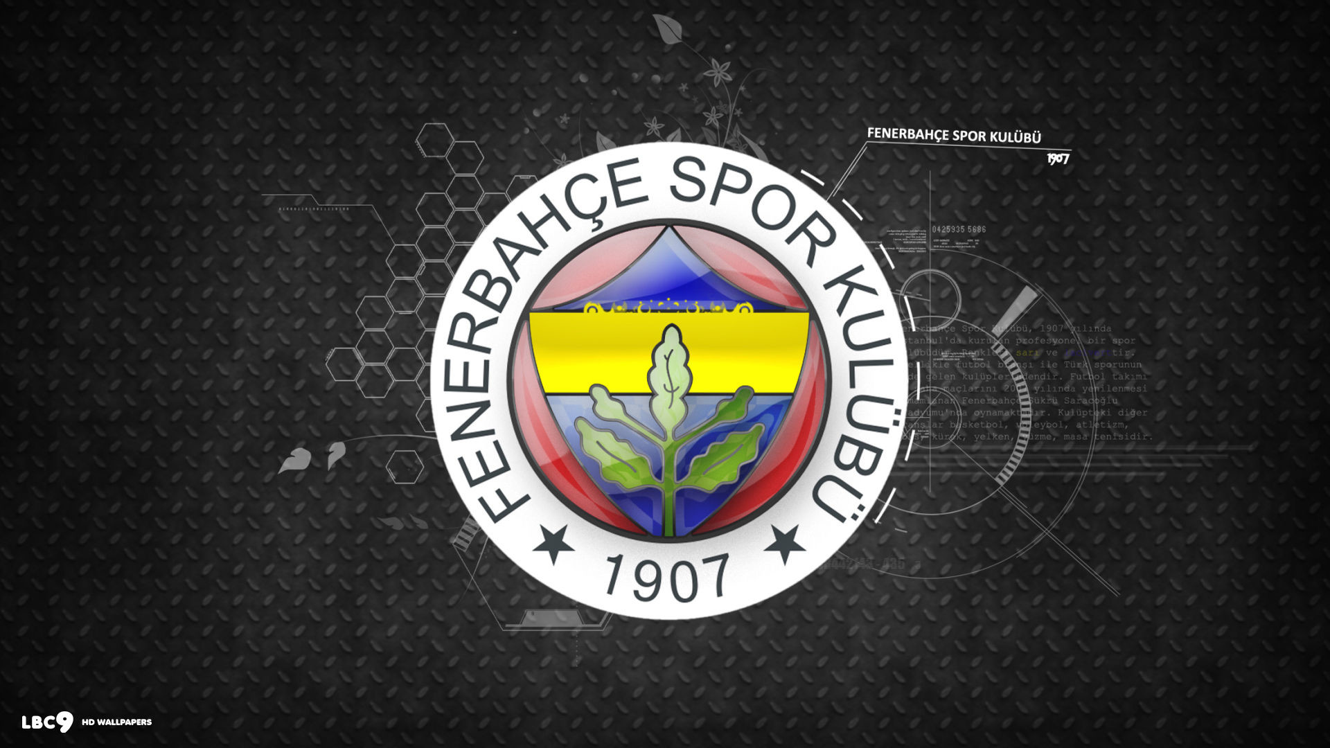 Free Ncaa Football Wallpaper, Dotty Oda - Fenerbahçe , HD Wallpaper & Backgrounds