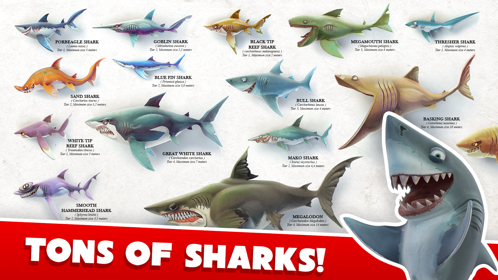 Apk Mod Download World Hungry Shark Download Apk Â€“ - Hungry Shark World All Sharks Names , HD Wallpaper & Backgrounds