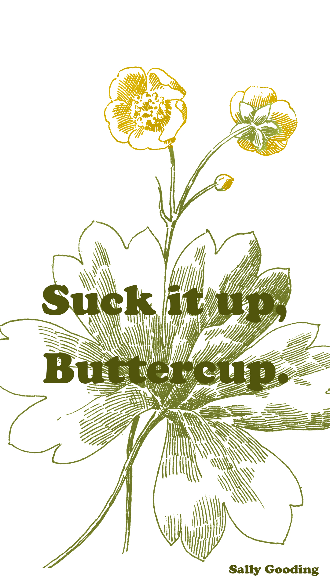 Motivational “suck It Up, Buttercup” Iphone 6 Wallpaper - Monocotyledon , HD Wallpaper & Backgrounds