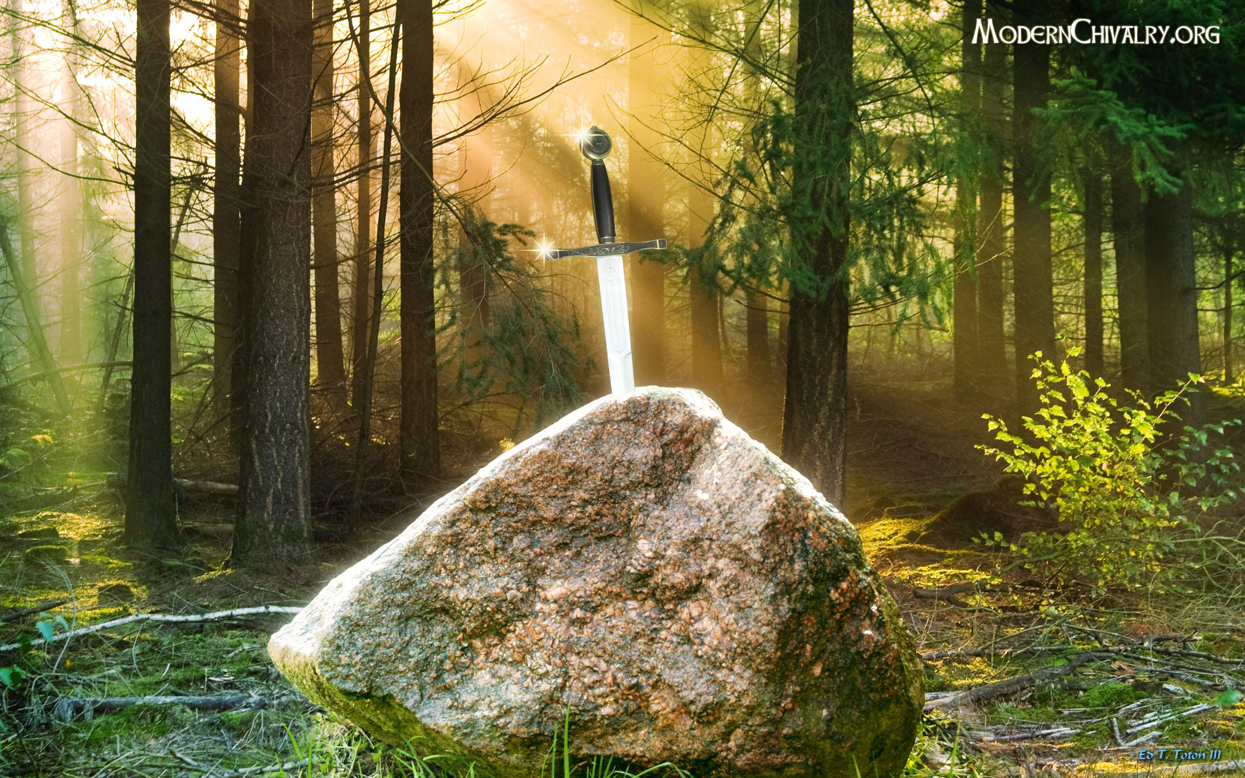 Download - Disney The Sword In The Stone Live Action , HD Wallpaper & Backgrounds
