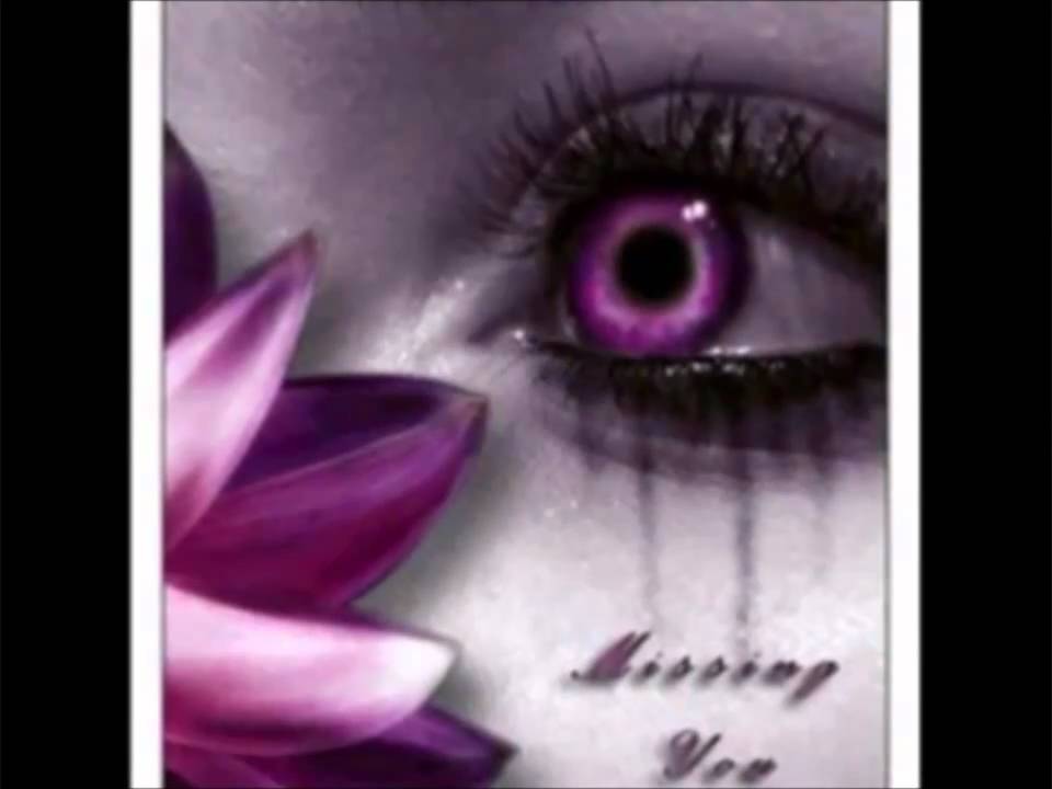 Purple Rose With Tears , HD Wallpaper & Backgrounds