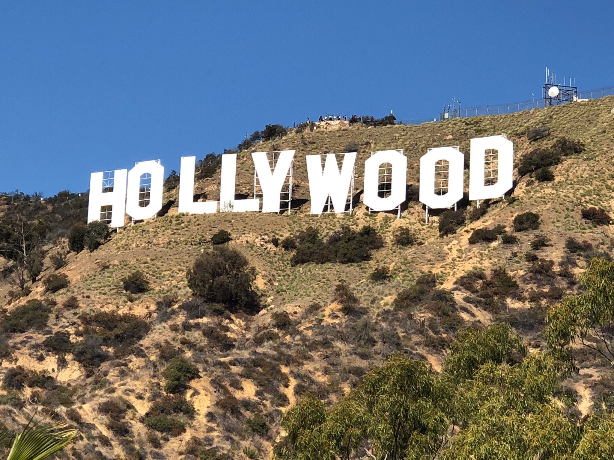 Load More - Hollywood Sign , HD Wallpaper & Backgrounds