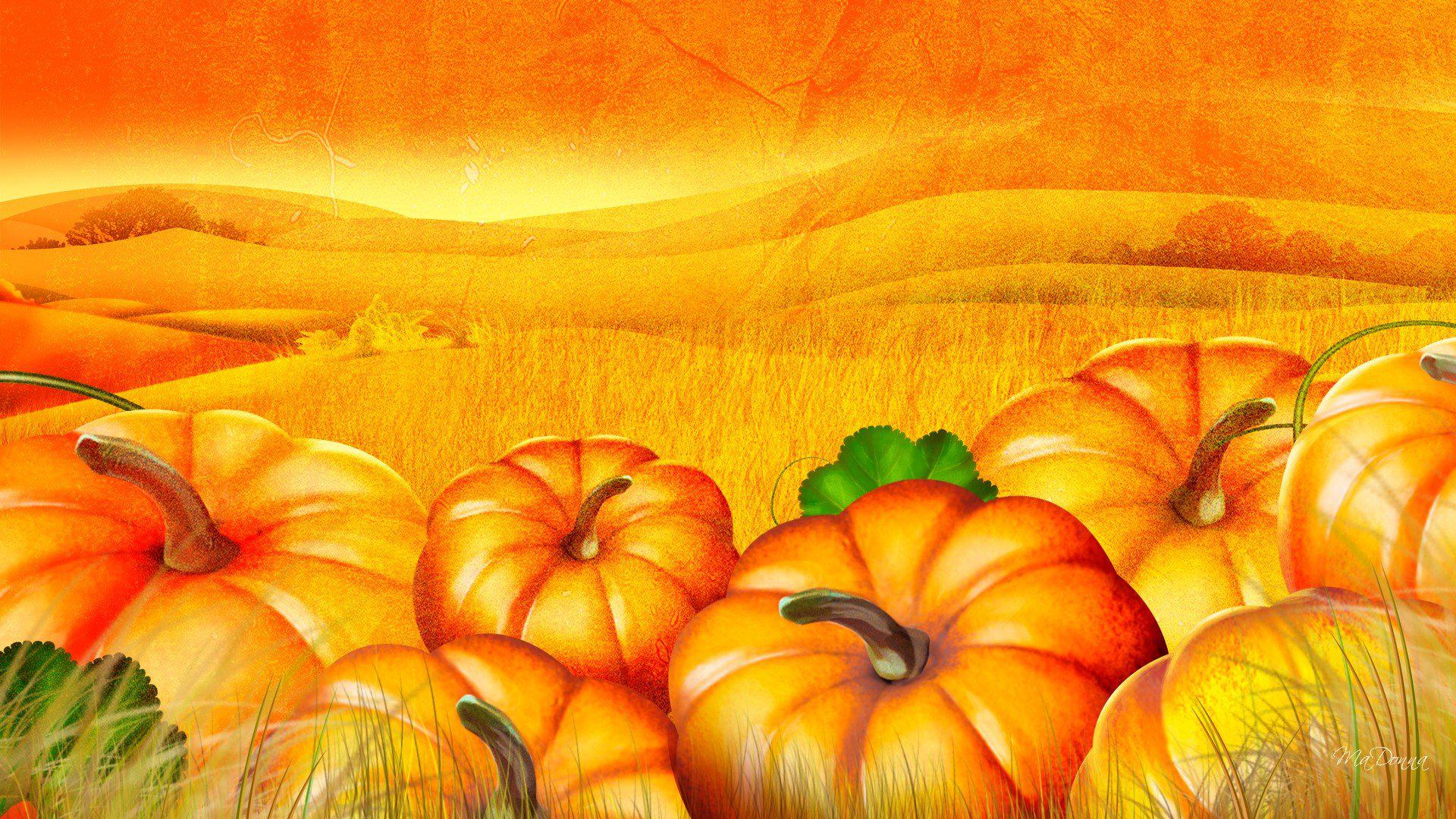 Toshiba Satellite Wallpaper Free Toshiba Satellite - Cartoon Pumpkin Patch Background , HD Wallpaper & Backgrounds