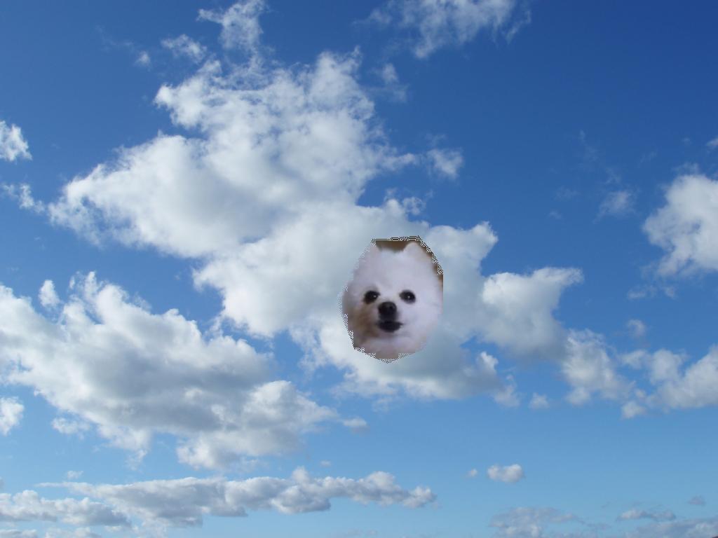 Gabe Copied Onto Cloud Background - Sky With Little Clouds , HD Wallpaper & Backgrounds