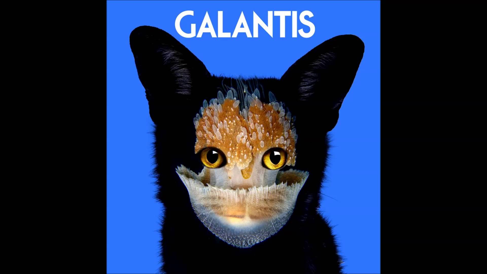 Galantis Photos - Galantis The Heart That I M Hearing , HD Wallpaper & Backgrounds