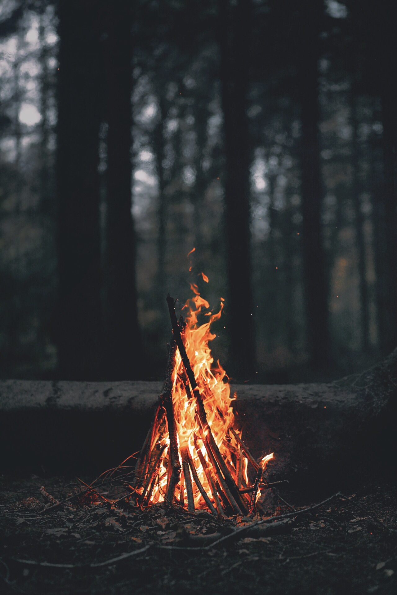 Campfire Wallpaper For Iphone , HD Wallpaper & Backgrounds