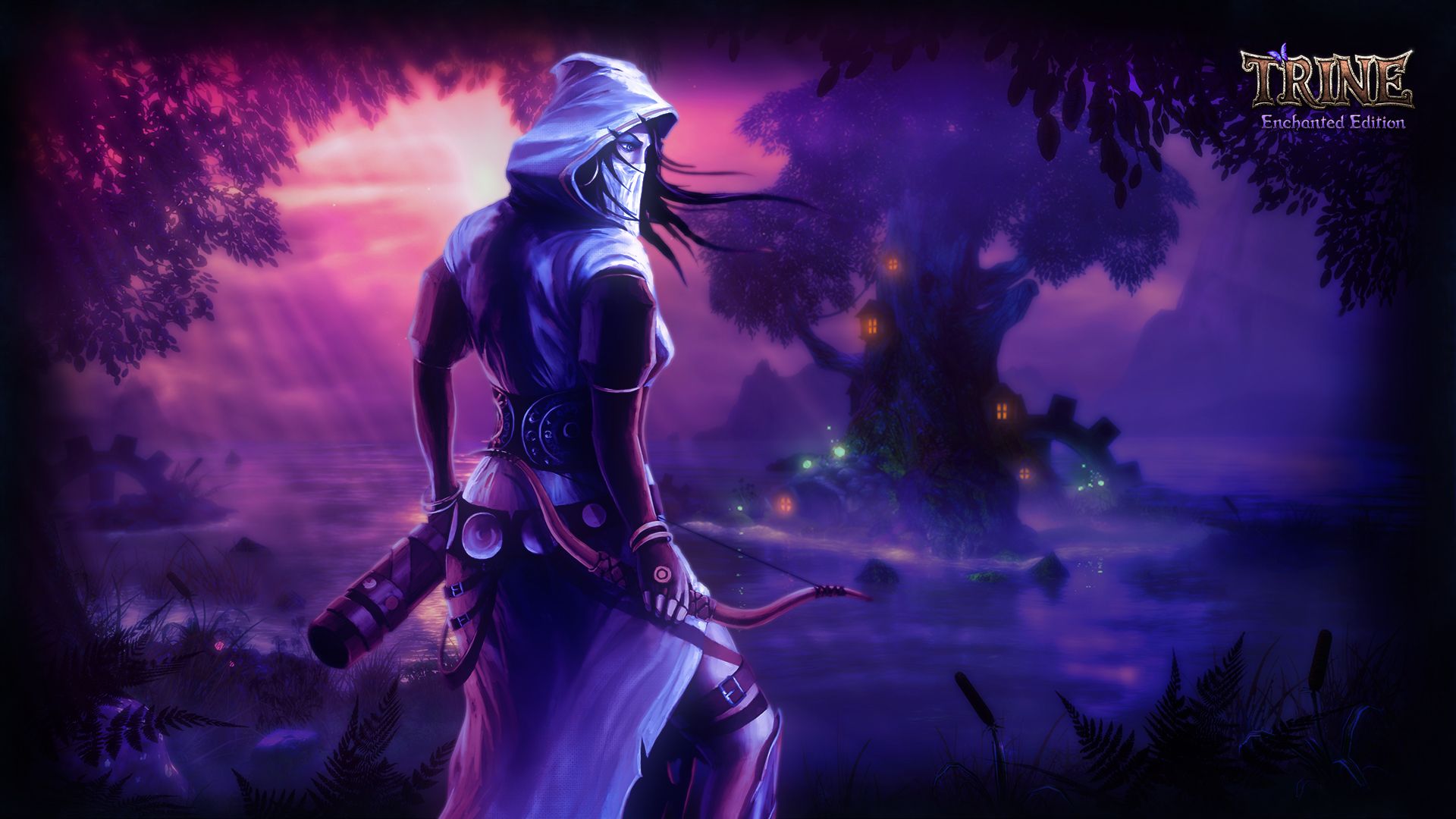 Trine Enchanted Edition Wallpaper, Fictional Characters, - Trine Thief , HD Wallpaper & Backgrounds