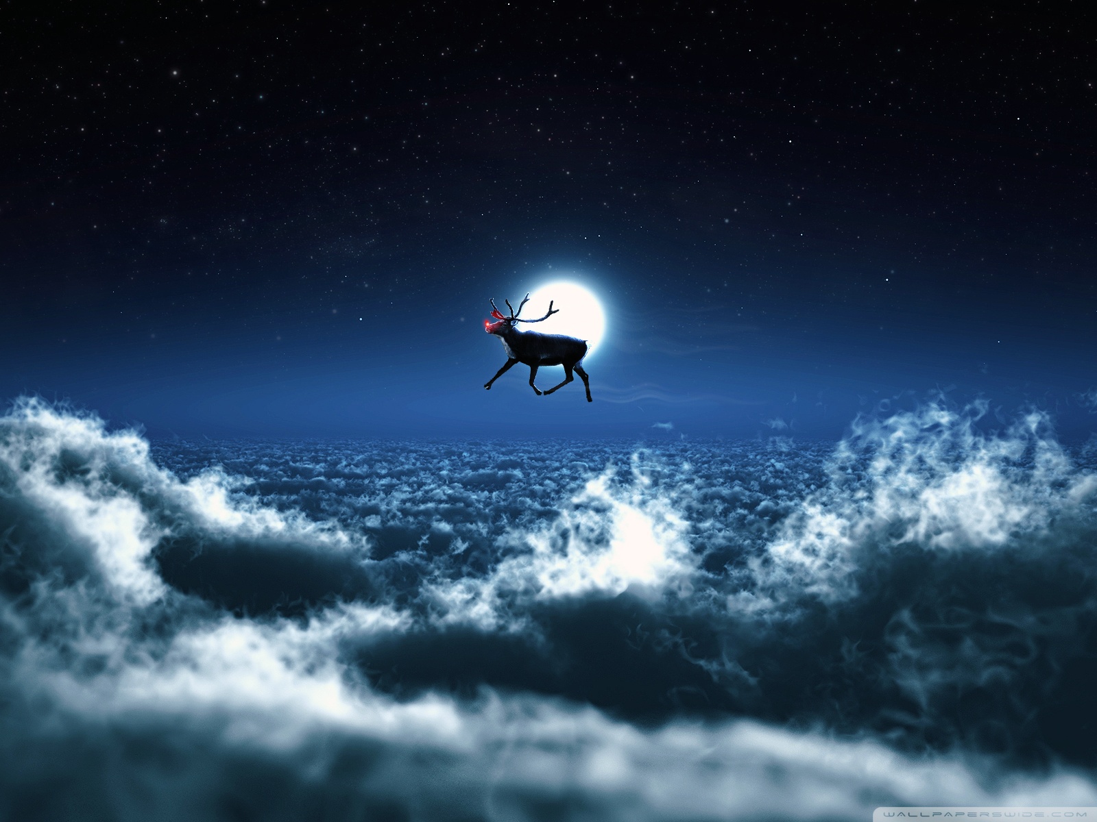Standard - Santa's Real Life Reindeer Flying , HD Wallpaper & Backgrounds