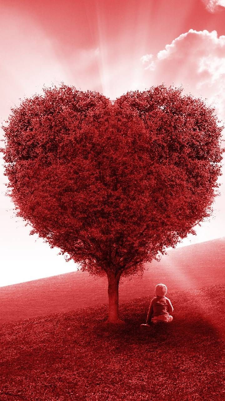 Download Red Love Heart Tree Wallpaper By Pramucc - Love Heart Tree , HD Wallpaper & Backgrounds