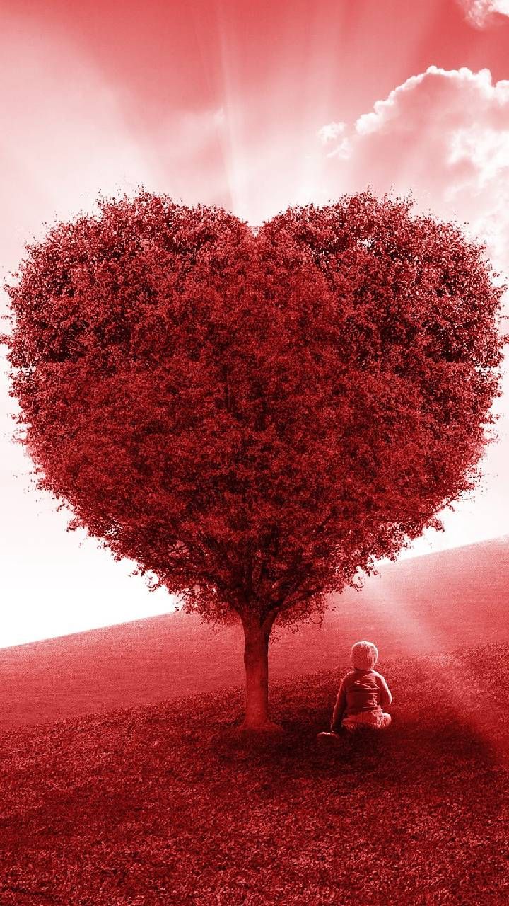 Download Red Love Heart Tree Wallpaper By Pramucc Love Heart