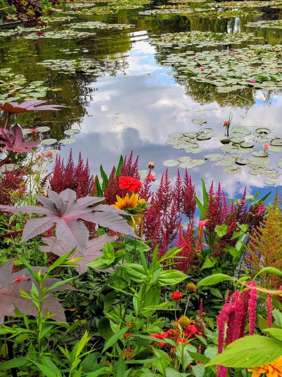 Monet's Garden In Giverny, Normandy [3024×4032] - Prince Of Wales Feathers , HD Wallpaper & Backgrounds