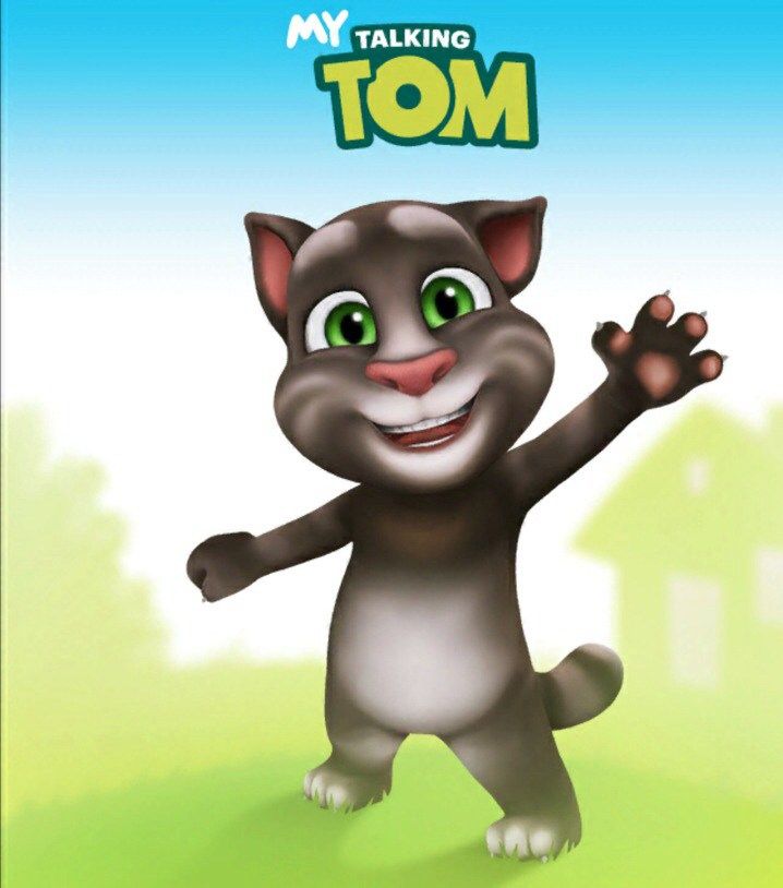 My Talking Tom V4 - My Talking Tom 2013 , HD Wallpaper & Backgrounds