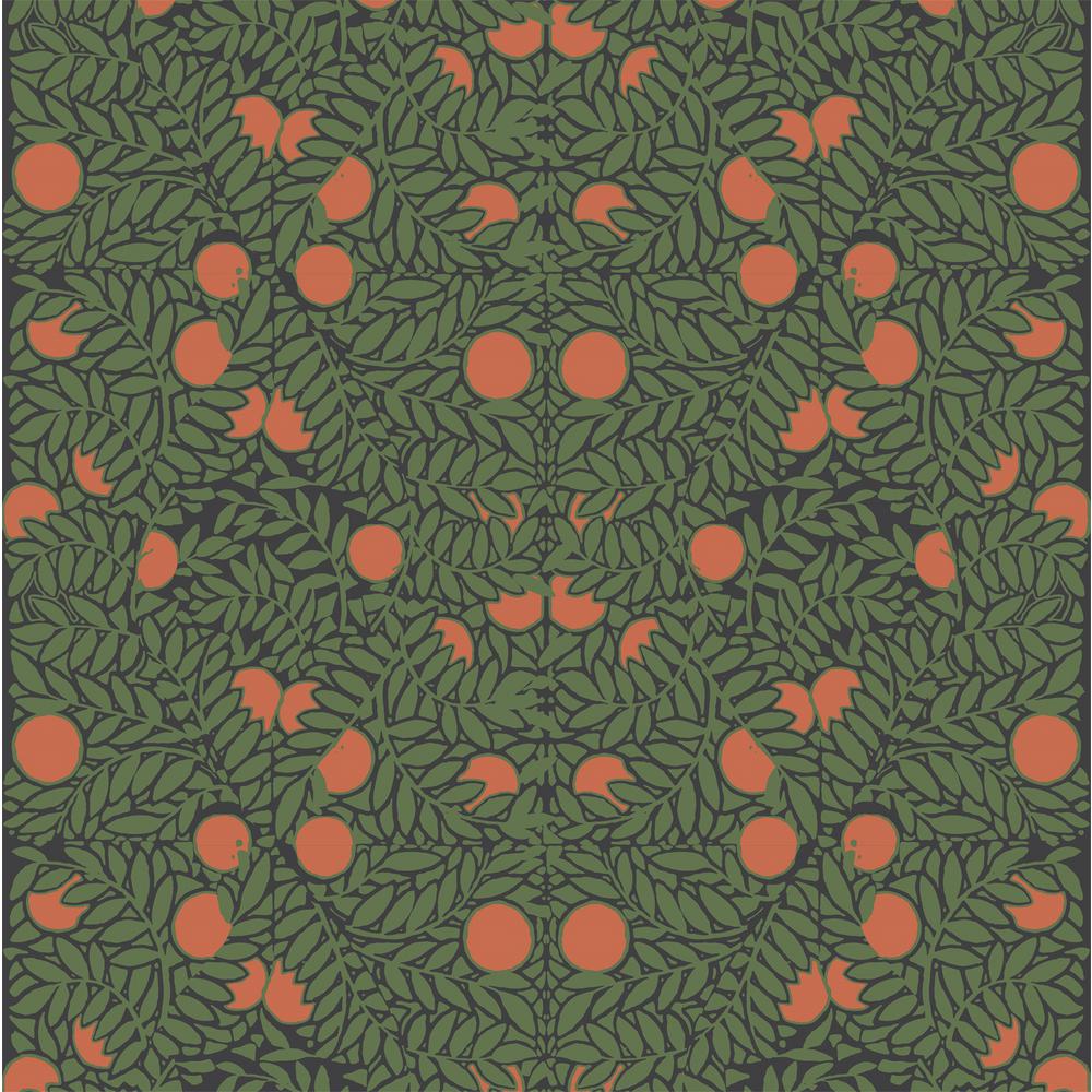 Mitchell Black Debut Collection Orange Bush In Forest/orange - Mitchell Black Orange Grove Wallpaper In Blue Cream , HD Wallpaper & Backgrounds