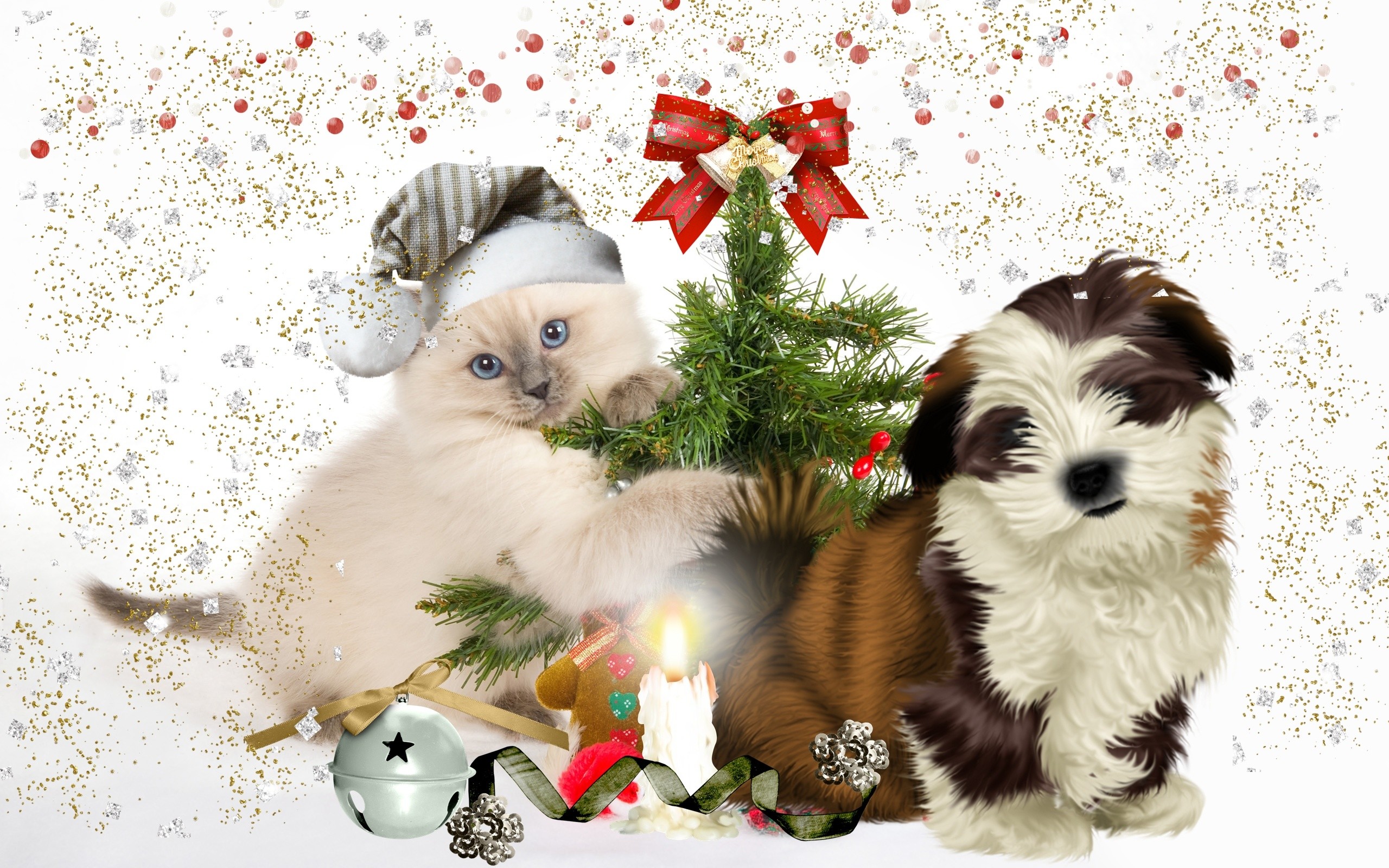 Wallpaper Cat, Hat, Sleeping, Furry - Christmas Puppy And Kitten , HD Wallpaper & Backgrounds