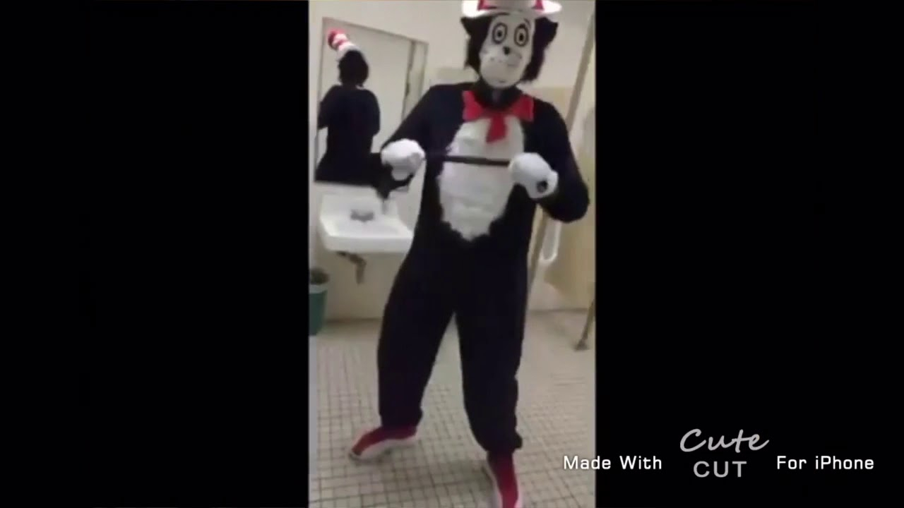 Great Cat In The Hat Meme Cat In The Hat Law And Order Gif Great Cat In The Hat Meme Cat In The Hat Law And Order Gif