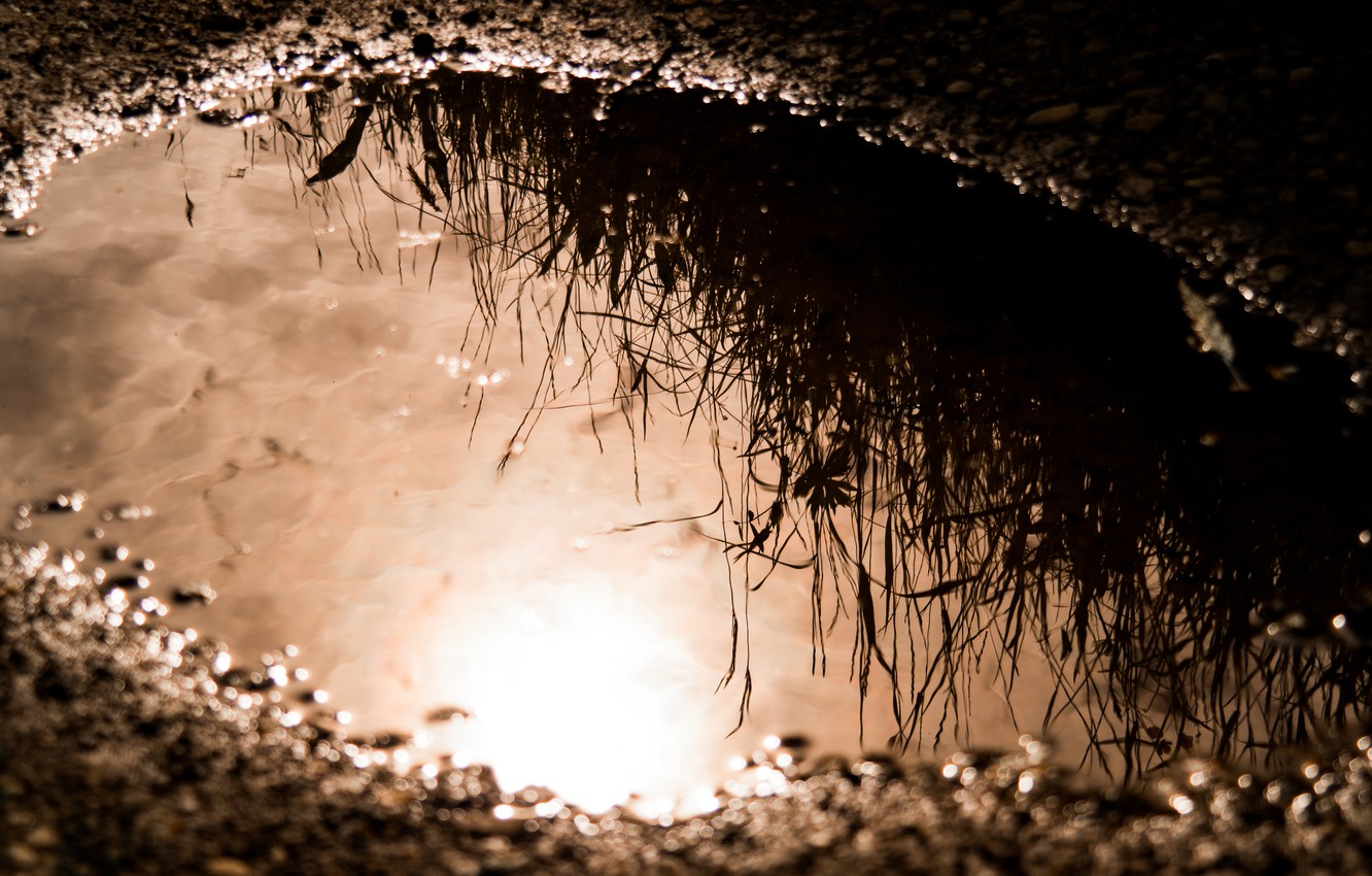 Photo Wallpaper Dirt, Sun, Water, Mirror, Reflection, - Puddle Reflections In Mud , HD Wallpaper & Backgrounds