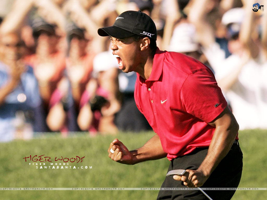 Tiger Woods Wallpaper - Tiger Woods Hd Iphone , HD Wallpaper & Backgrounds