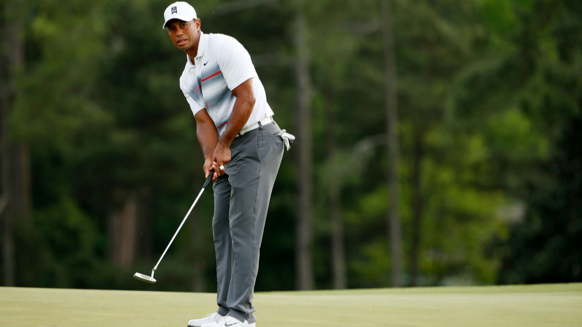 Tiger Woods Hd Wallpaper - Tiger Woods Foto Hd , HD Wallpaper & Backgrounds