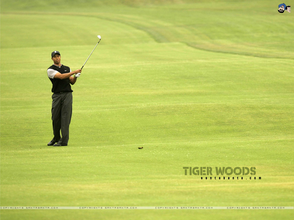 Tiger Woods , HD Wallpaper & Backgrounds