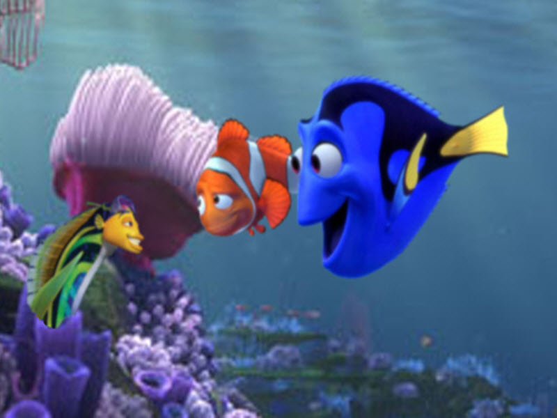 Dory Wallpapers - Finding Nemo Marlin And Dory , HD Wallpaper & Backgrounds