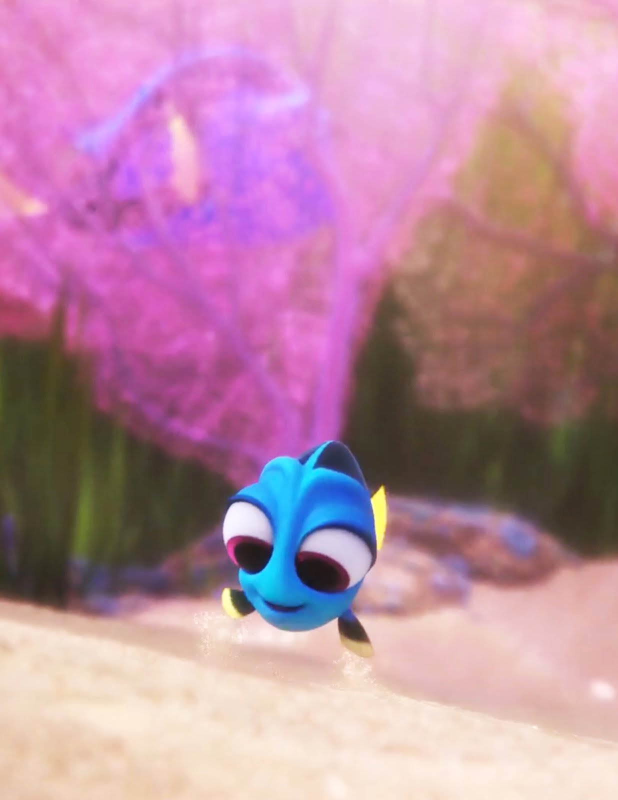 Dory Sand Is Squishy , HD Wallpaper & Backgrounds
