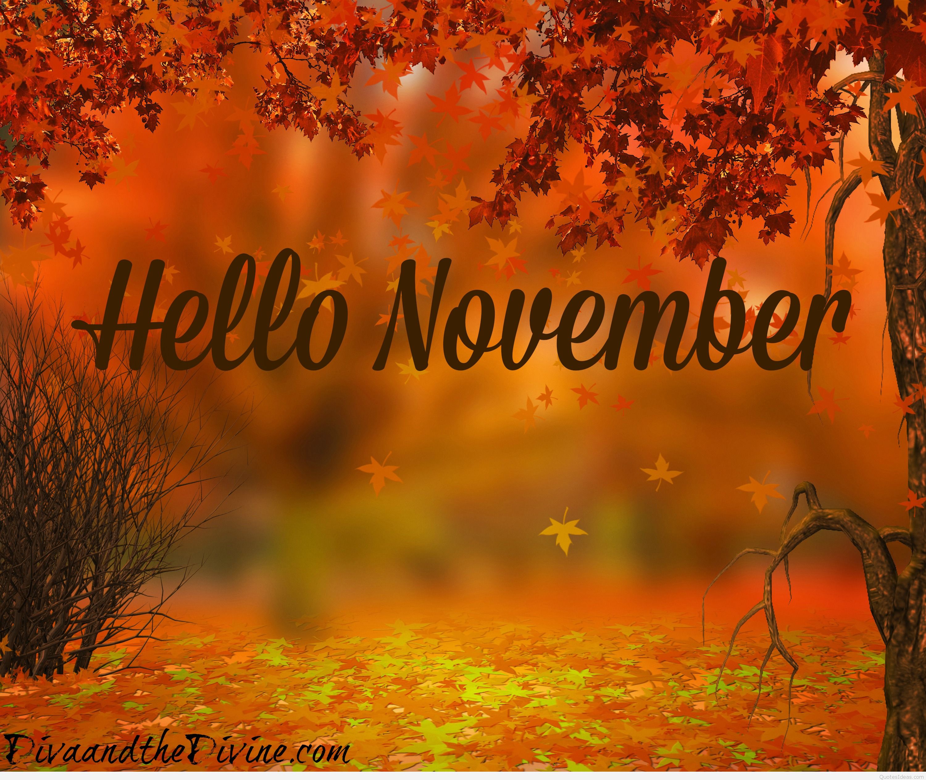 Hello November Pictures - Hello November Birthday Month , HD Wallpaper & Backgrounds