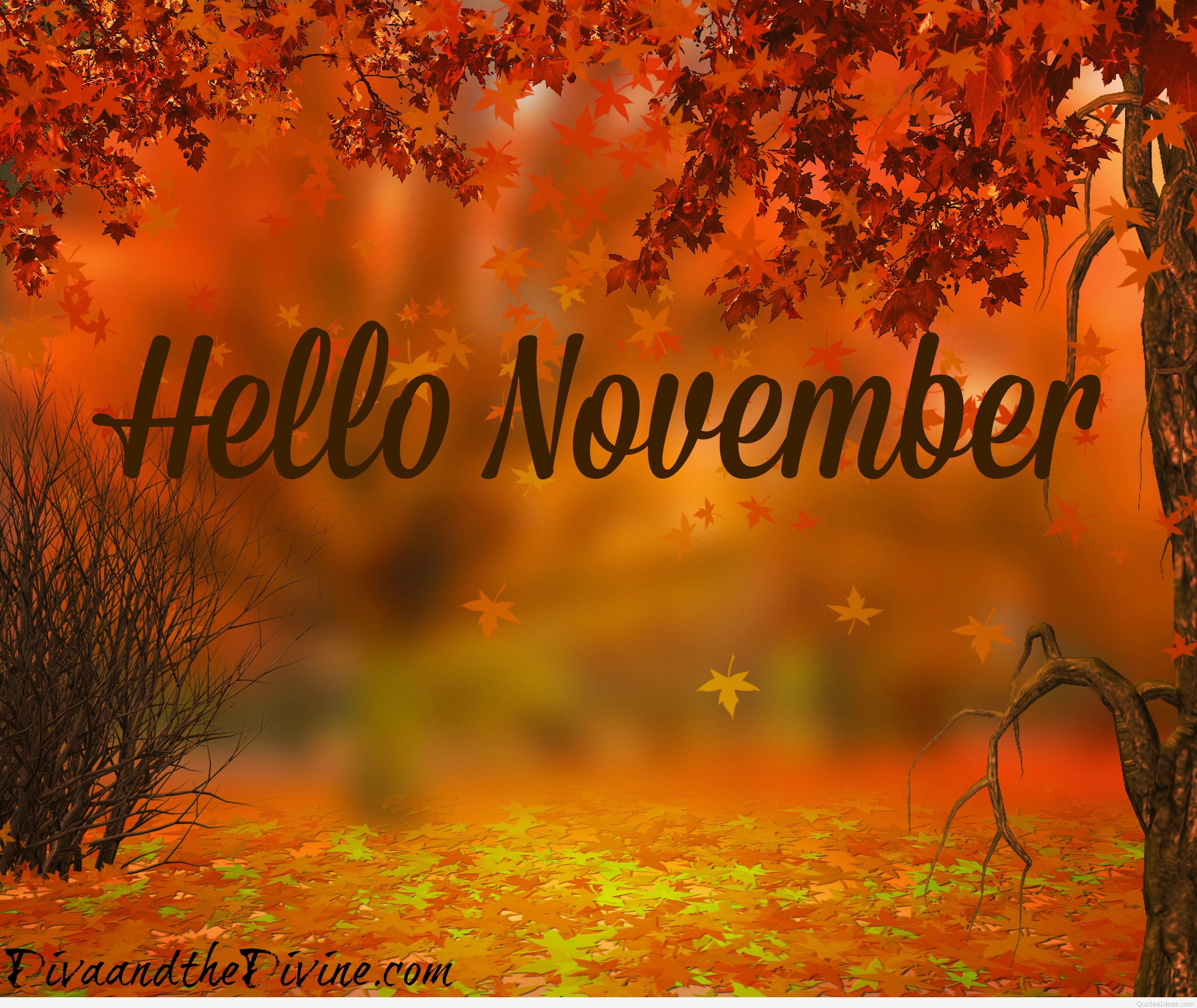 Hello November Pictures Hello November Birthday Month (#1798072) HD Hello November Pictures Hello November Birthday Month (#1798072) HD
