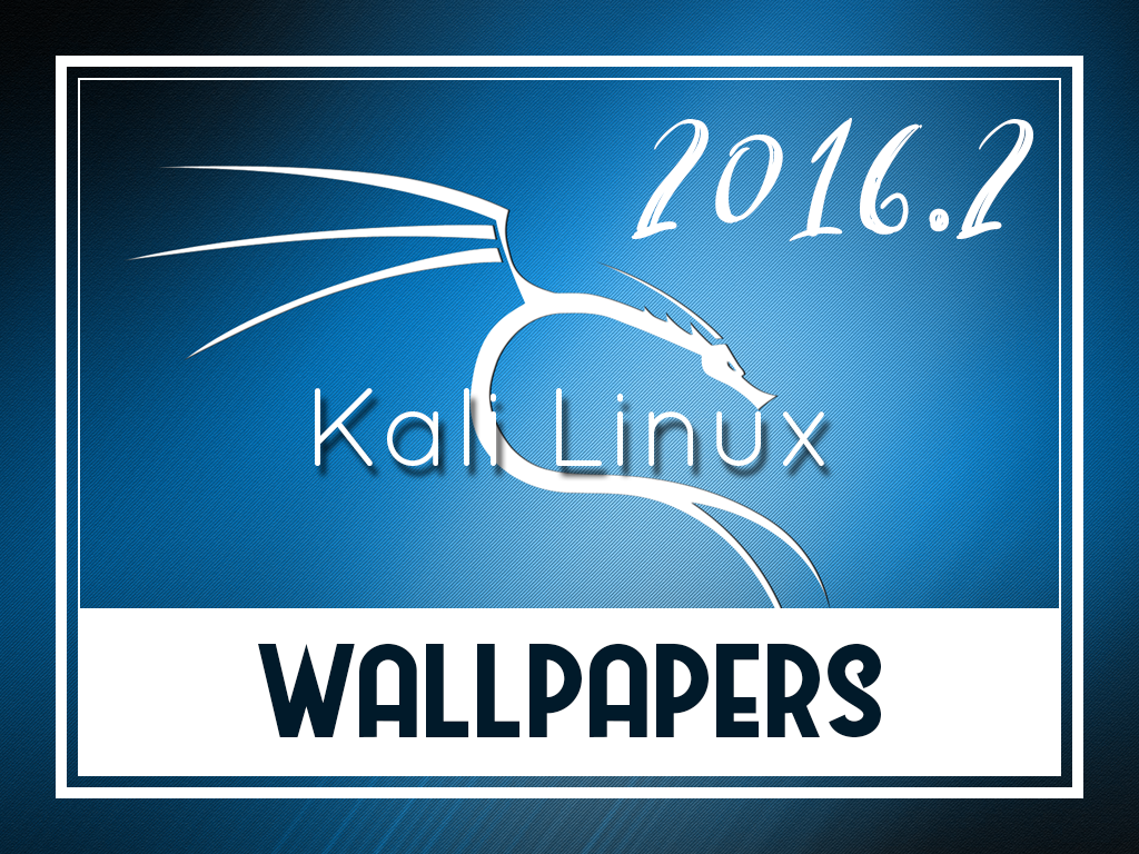 Kali Linux - Backtrack 4 R2 , HD Wallpaper & Backgrounds