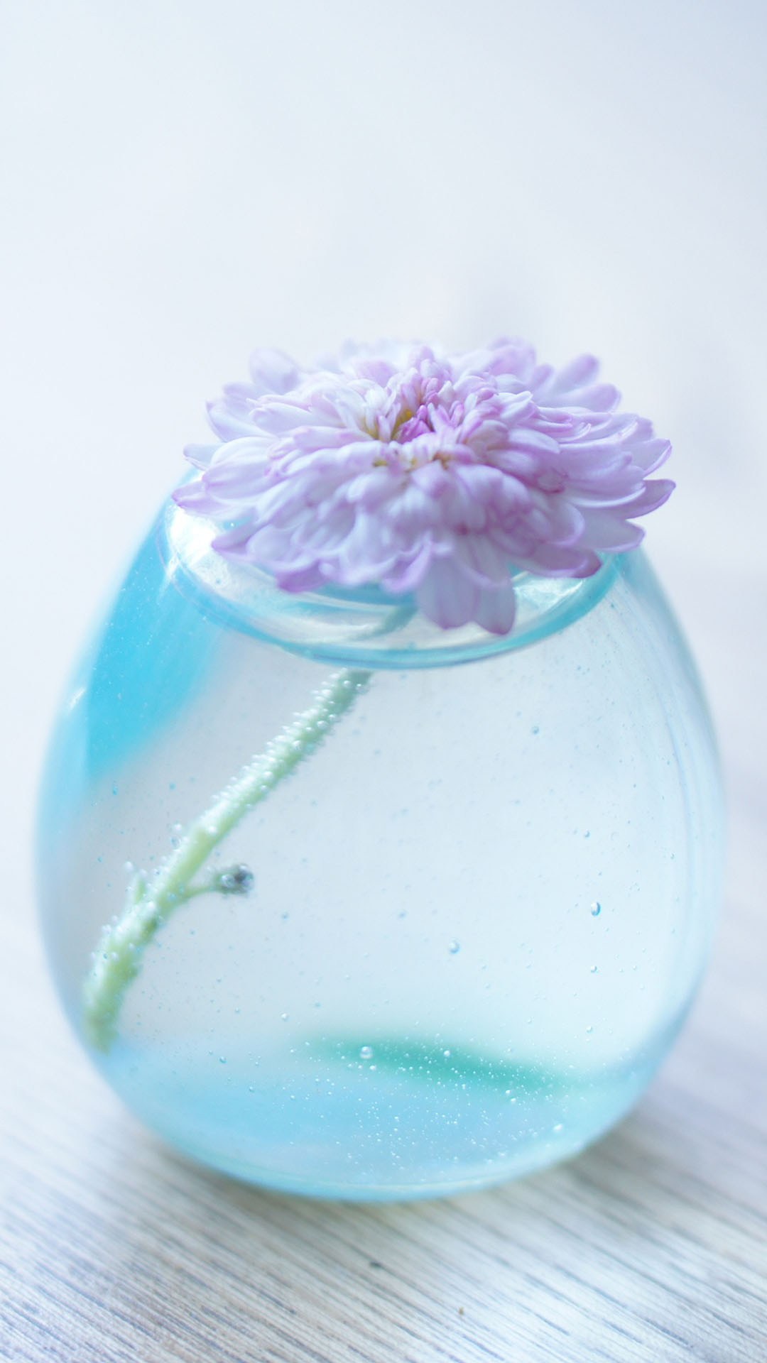 Flower Glass Vase Light Blue - Light Blue Wallpaper Hd For Iphone , HD Wallpaper & Backgrounds
