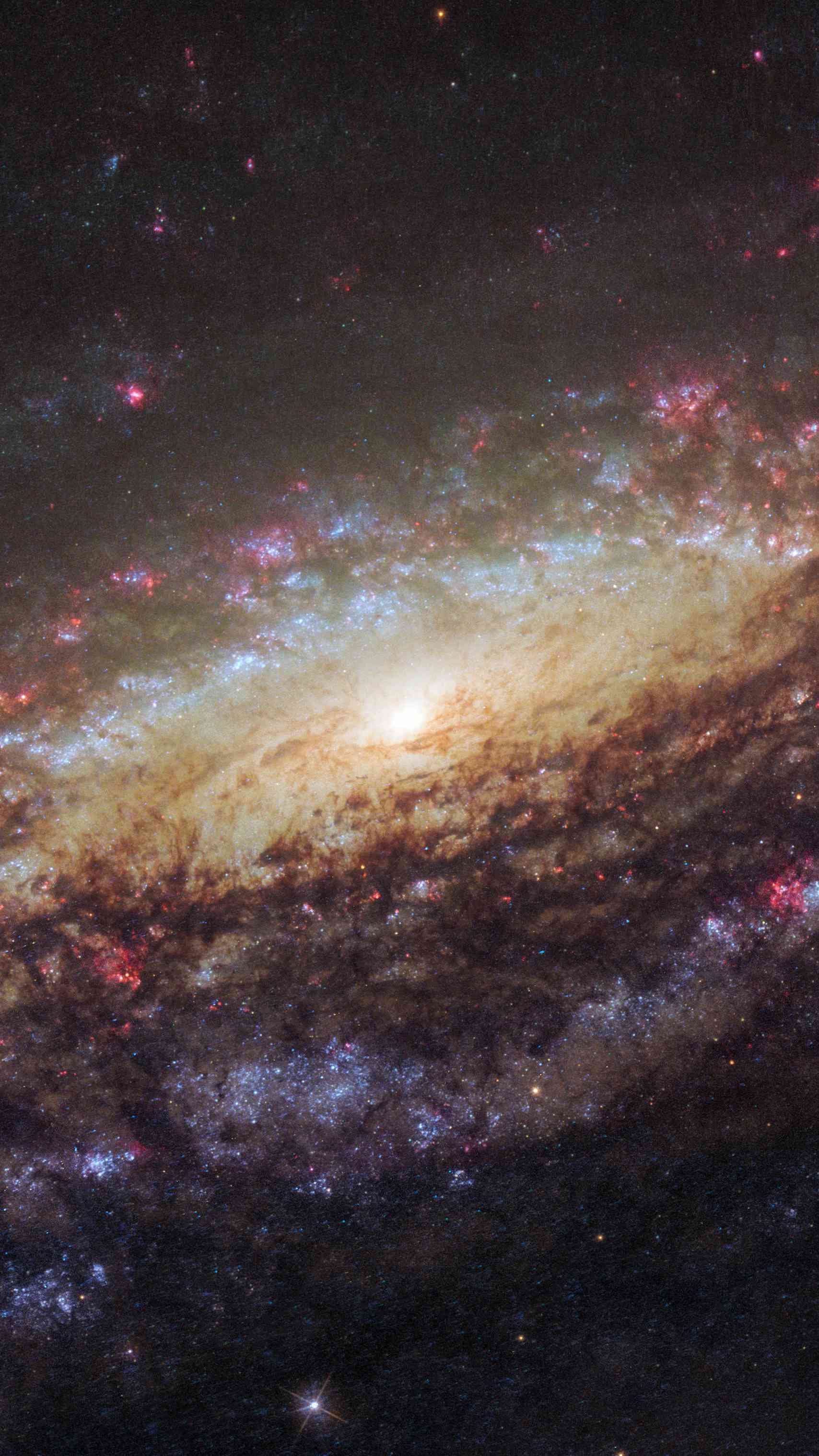 Andromeda Galaxy Iphone Wallpaper - Andromeda Galaxy , HD Wallpaper & Backgrounds