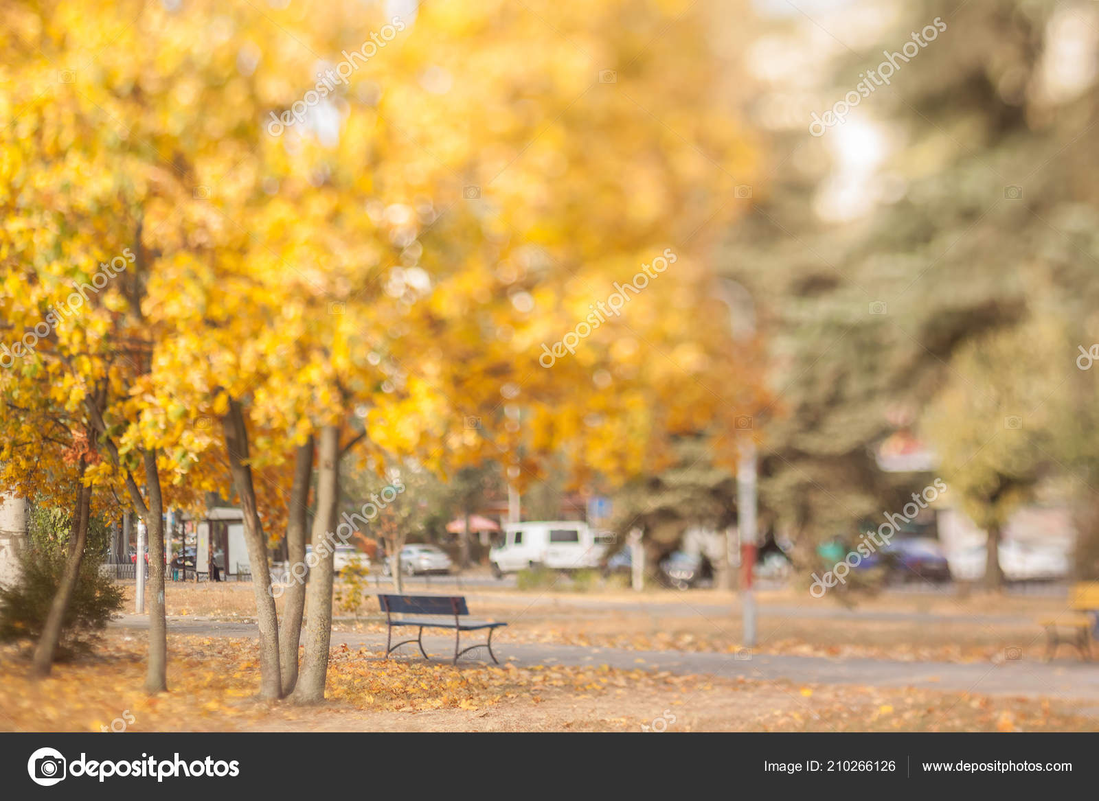 Blurry Autumn Wallpaper Old Bench Autumn Park Natural - Maple Leaf , HD Wallpaper & Backgrounds
