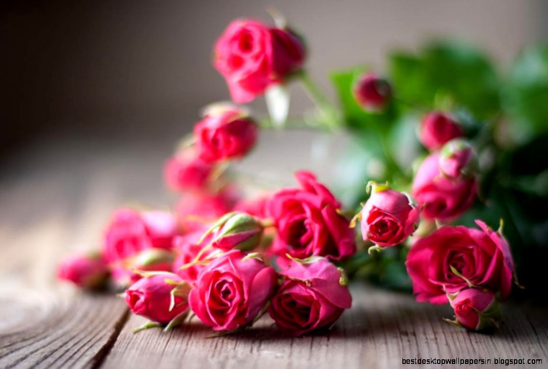 Hd Wallpaper Of Flowers Roses - Happy Rose Day 2019 Images Download , HD Wallpaper & Backgrounds