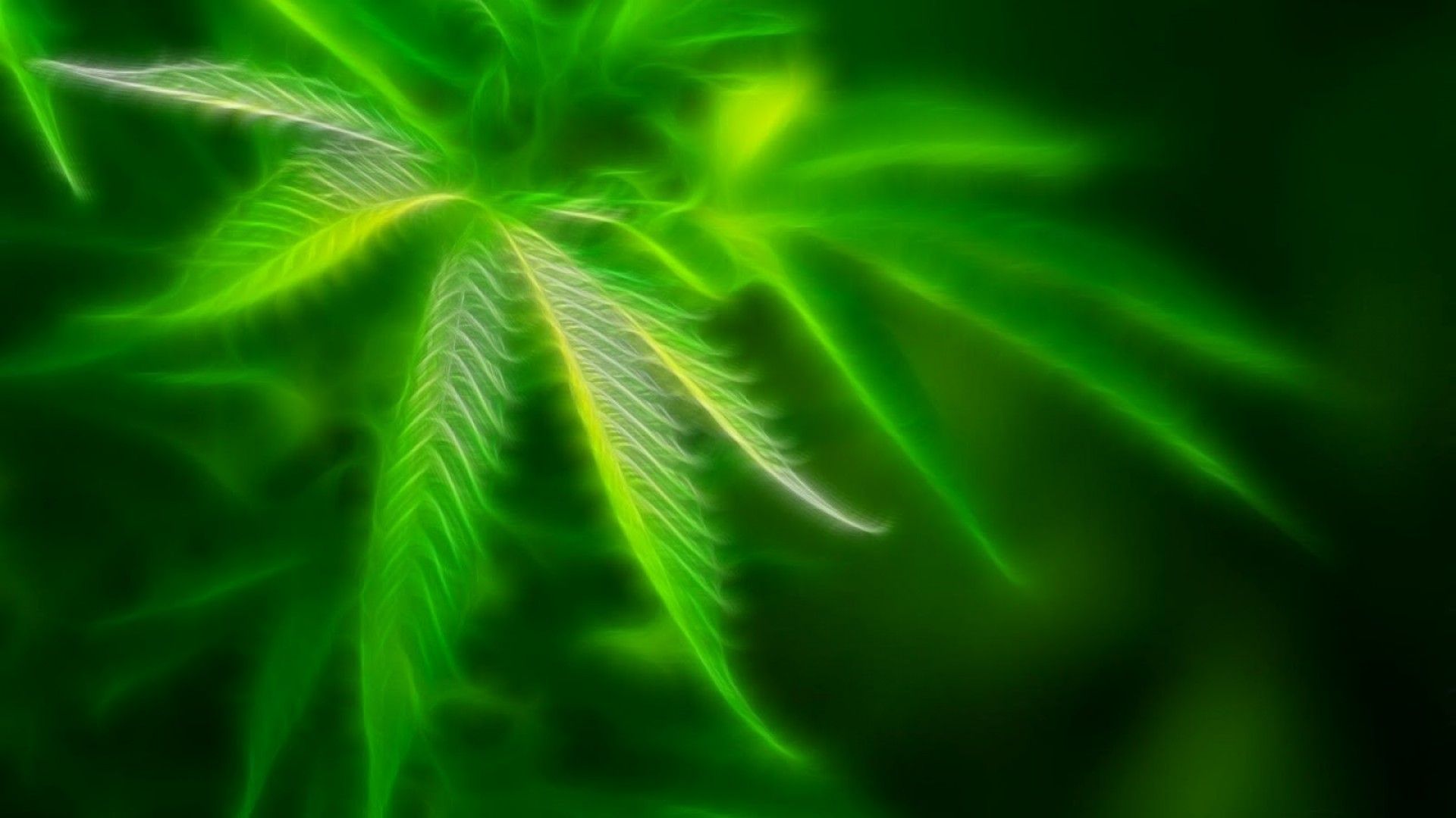 Marijuana Weed 420 Ganja Y Wallpaper , HD Wallpaper & Backgrounds