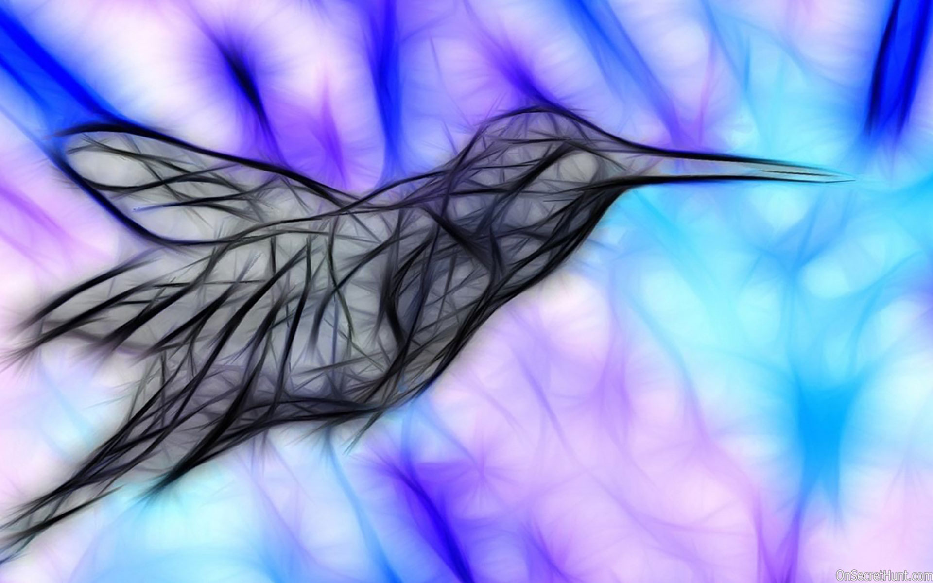 3d Animated Bird Wallpapers - Bird Background Animated , HD Wallpaper & Backgrounds
