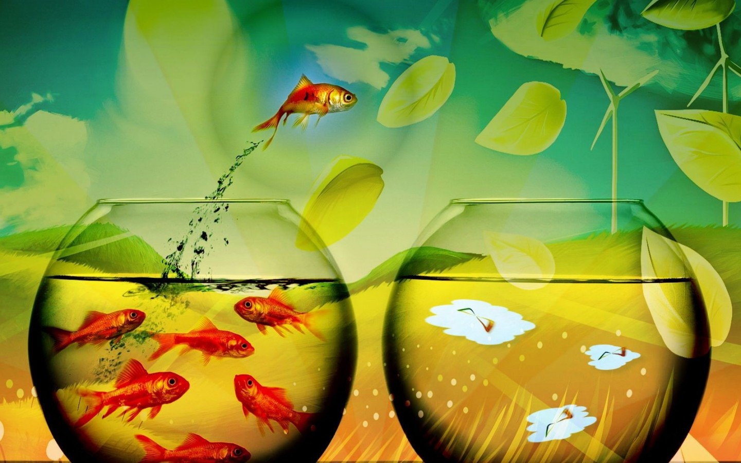 Creative Desktop Wallpaper - Fishes Wallpaper For Mobile , HD Wallpaper & Backgrounds