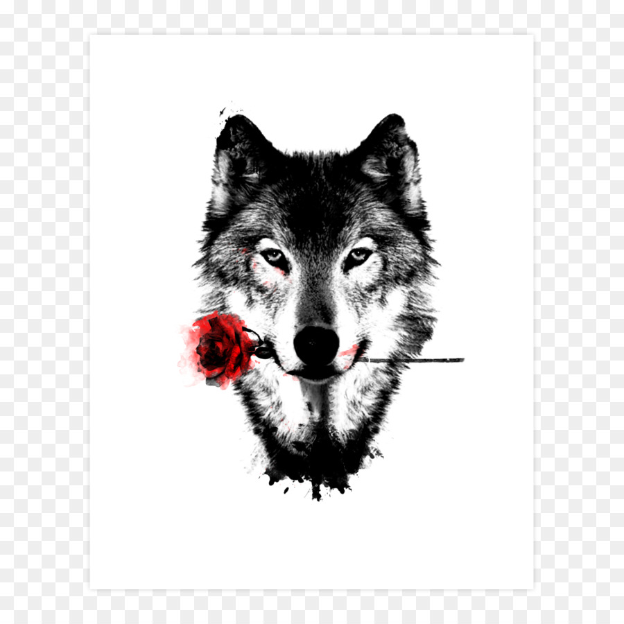 Desktop Wallpaper, Dog, Lone Wolf, Dog Like Mammal, , HD Wallpaper & Backgrounds