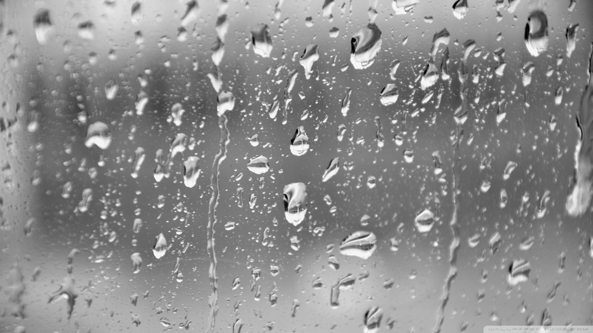 Rain Drops Live Wallpapers Hd - Black And White Rain , HD Wallpaper & Backgrounds