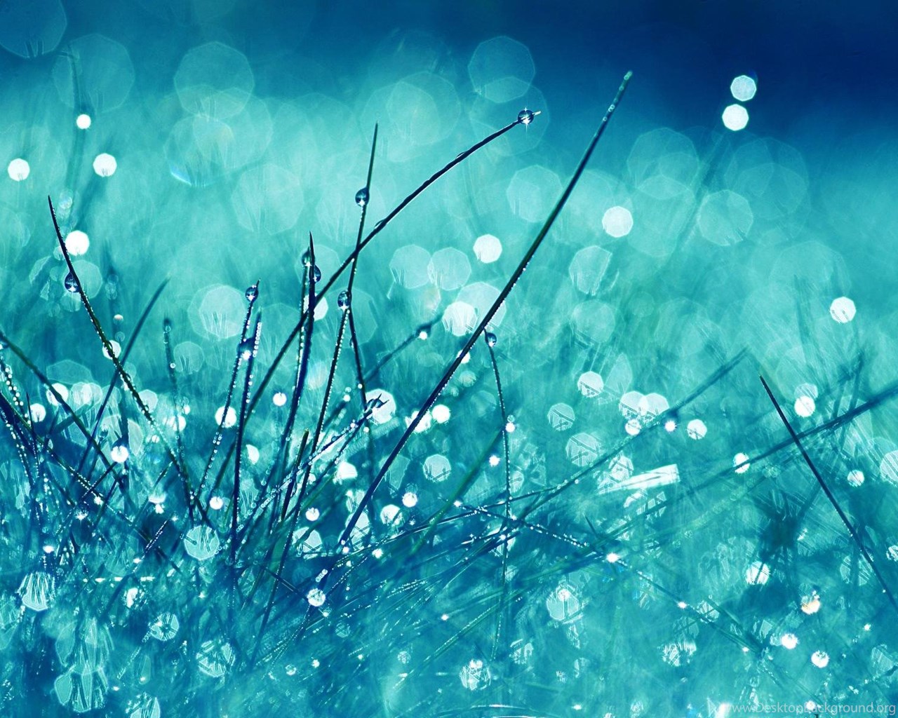 Real Rain Live Wallpaper - Beautiful Glitter , HD Wallpaper & Backgrounds