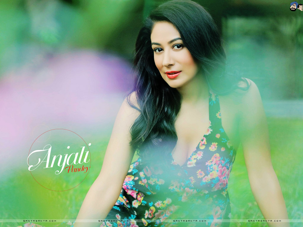 Anjali Pandey - Photo Shoot , HD Wallpaper & Backgrounds