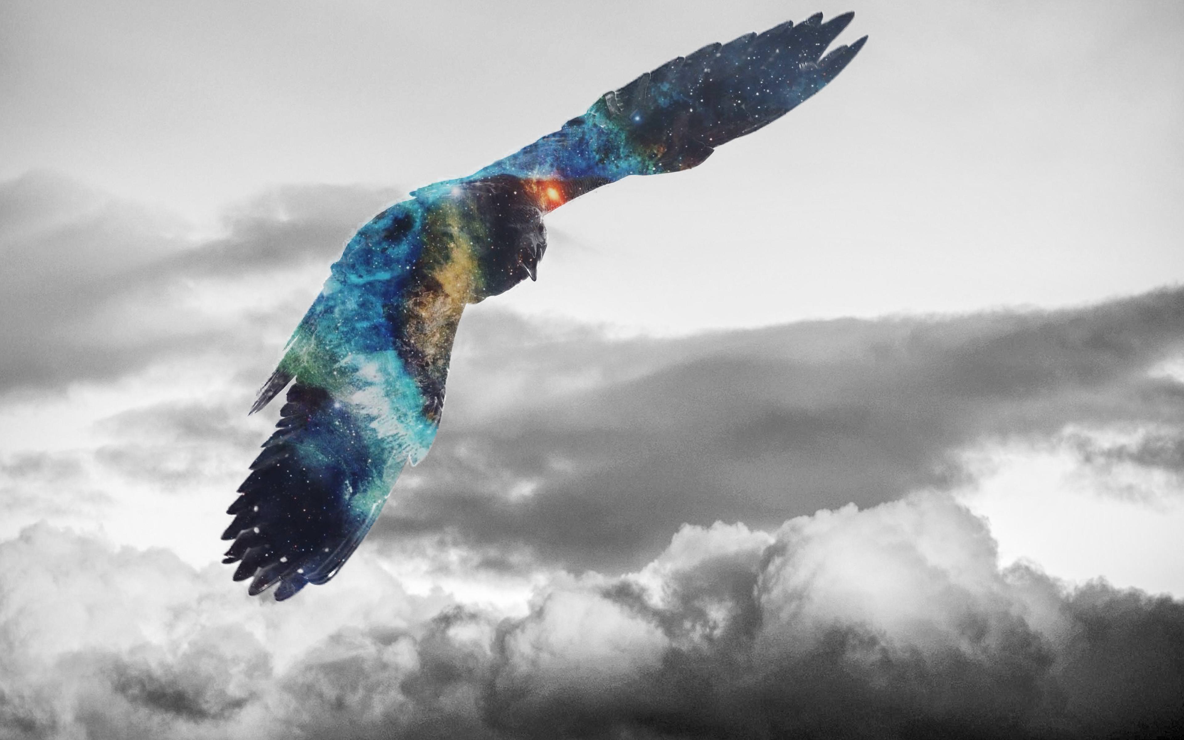 Bald Eagle, Oryol, Bird Of Prey, Cloud, Golden Eagle - Eagle Wallpaper Hd , HD Wallpaper & Backgrounds