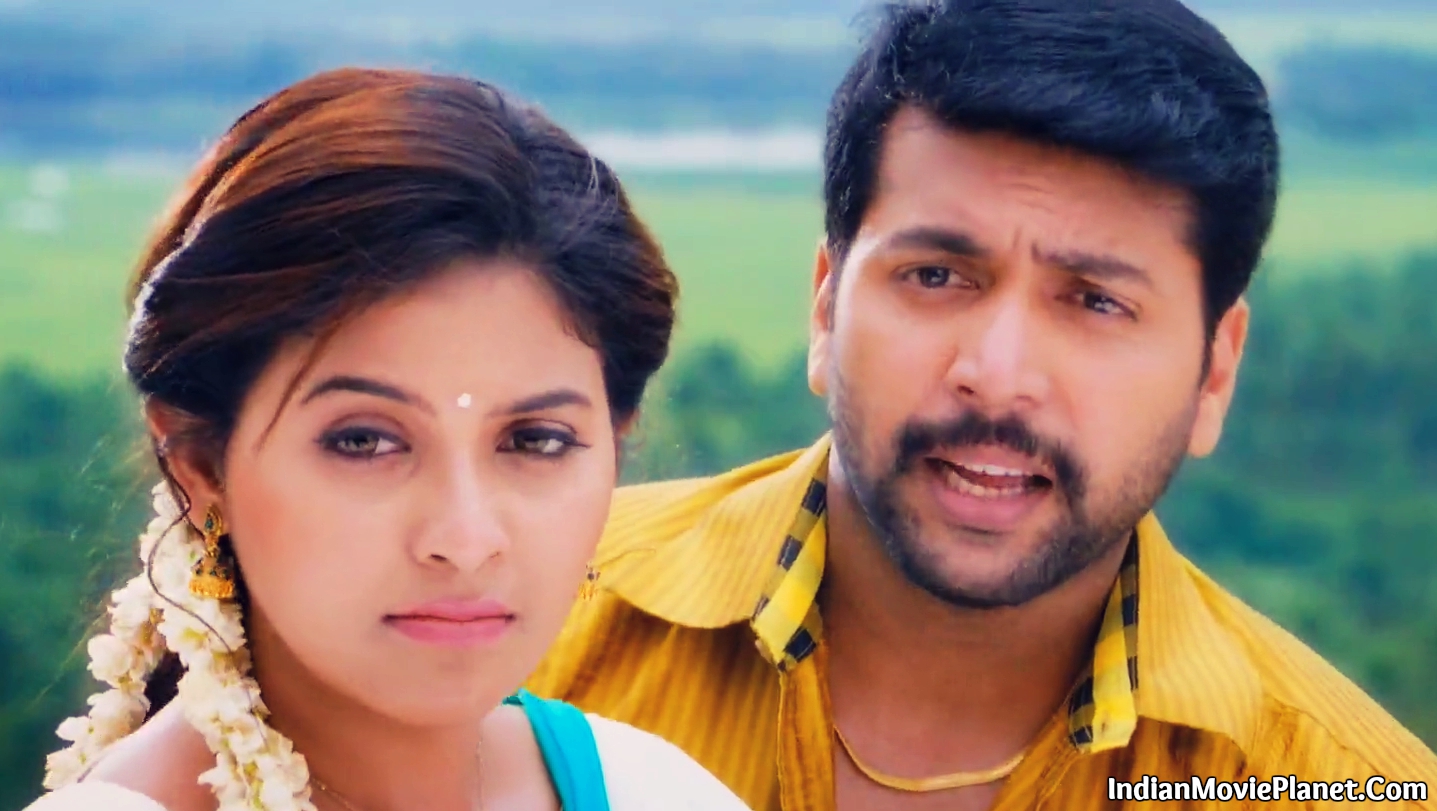 Sakalakala Vallavan Appattakkar Latest Hd Stills Wallpapers - Jayam Ravi Sakalakala Vallavan , HD Wallpaper & Backgrounds